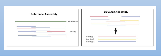 Assembling a jigsaw puzzle! – HelixOmics Analytics